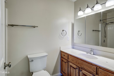 25 Briar Patch Ln, Greeneville, TN 37745 - photo 4