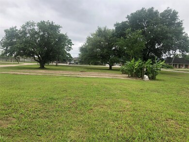 502 County Road 296, Alvin, TX 77511 - photo 5