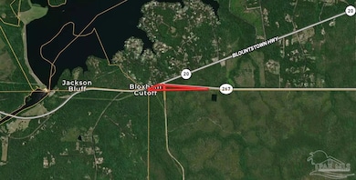 0 Lot 2 State Rd, Tallahassee, FL 32310 - photo 6