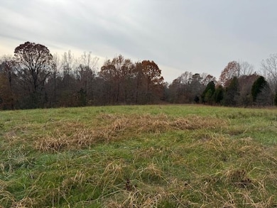 0 Keller Rd, Toone, TN 38381 - photo 3