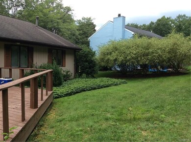 View of backyard