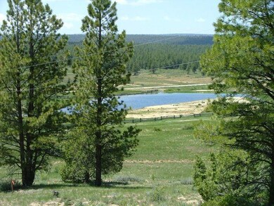 4-GD-Some Tall Pines in Area