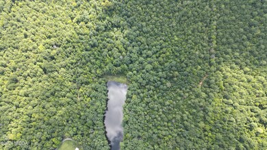 0 Skinner Rd unit 176648, Gray, GA 31032 - photo 3