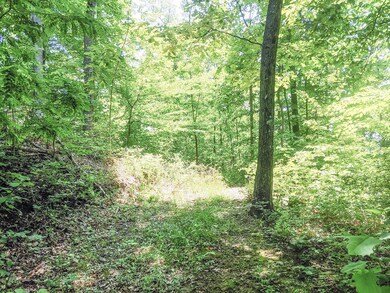 5-Moss Run Lot 11 Pic 5