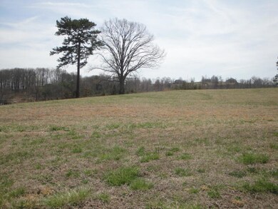 LOT 48 Chippewa Ln, Rutledge, TN 37861 - photo 2