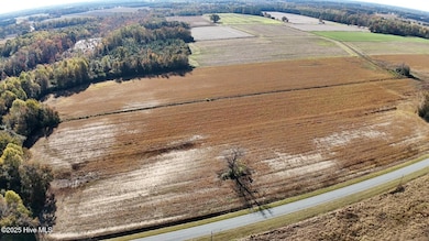 294 James Price Rd, Seven Springs, NC 28578 - photo 7