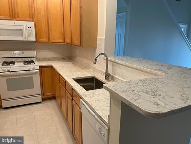 11314 Westbrook Mill Ln unit 302, Fairfax, VA 22030 - photo 5