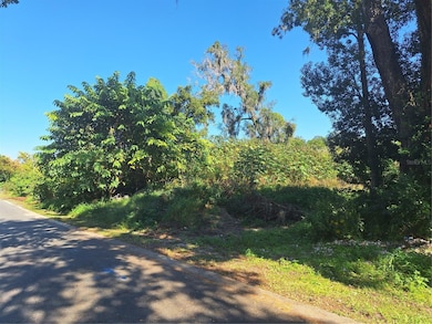 335 E 12th St, Apopka, FL 32703 - photo 2