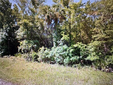 10043 W Holloway Path, Crystal River, FL 34429 - photo 6