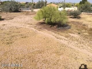 Backyard Area
