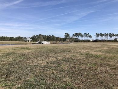 431 Summer House Dr, Holly Ridge, NC 28445 - photo 3