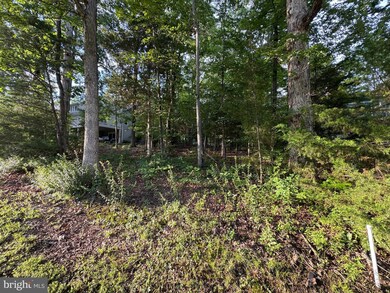 218 Birdie Rd, Locust Grove, VA 22508 - photo 2