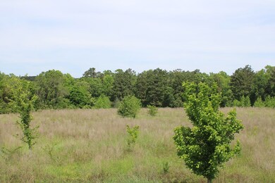 0 Cr 820 unit 62479, Nacogdoches, TX 75969 - photo 3