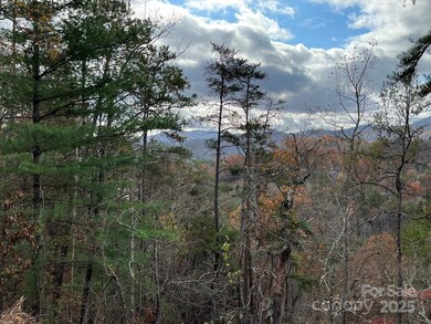 Lot 5 Osprey Mountain Way unit 5, Webster, NC 28779 - photo 5