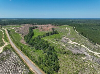 0 Long Branch Rd unit 25649021, Toomsboro, GA 31090 - photo 4