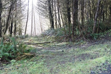 0 U S 101, Raymond, WA 98577 - photo 7