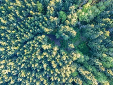 0 Discovery Ridge Rd unit NWM2364795, Port Townsend, WA 98368 - photo 3