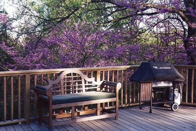 Spring color show of Red bud trees.