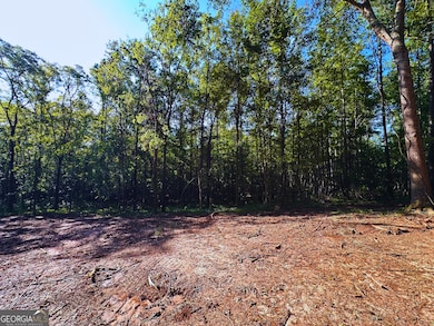 119 Hough Johnson Rd, Haddock, GA 31033 - photo 5