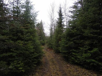 W8645 Wilson School Rd, Tomahawk, WI 54487 - photo 3