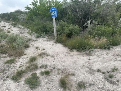 0 County Road 187, Alice, TX 78372 - photo 2