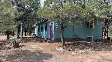 139 Homestead Trail, Datil, NM 87821 - photo 3