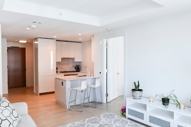 EchelonSeaport Towers 1 & 2 unit 1201, Boston, MA 02210 - photo 4