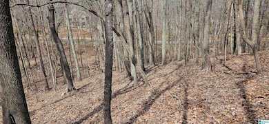 438 Stonegate Dr, Birmingham, AL 35242 - photo 3