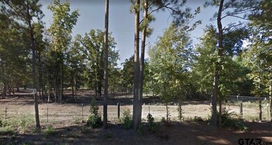 20356 Fm 850, Arp, TX 75750 - photo 2