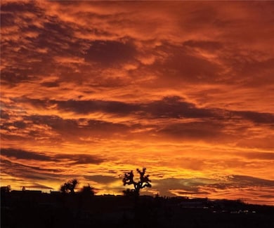 View of nature at dusk