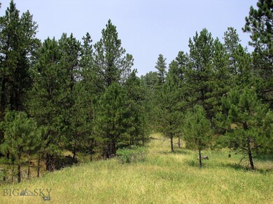 17 Bobcat Ln, Roundup, MT 59072 - photo 7