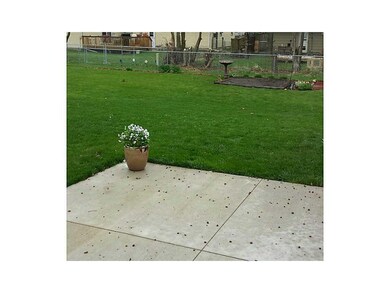 Yard.