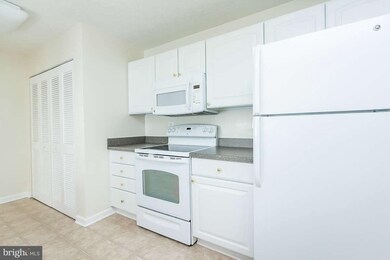 9609 Haven Farm Rd unit 9609, Perry Hall, MD 21128 - photo 3