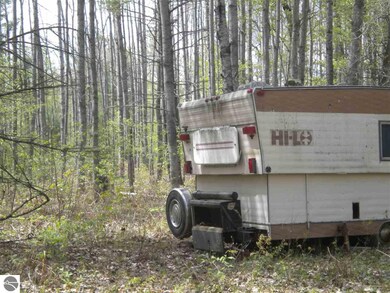 0 W Best Rd unit 18,19, Alger, MI 48610 - photo 4