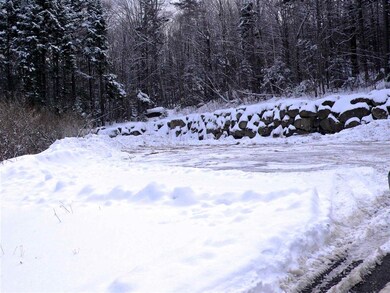 30 Bear Brook Ln unit 5, Waterville Valley, NH 03215 - photo 2