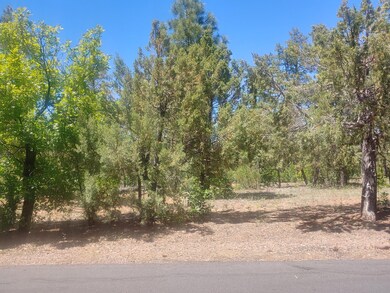 Larger Lot