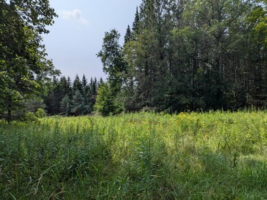 N6683 Aspen Rd, Phillips, WI 54555 - photo 4