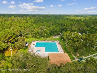 17 Lone Pine St, Homosassa, FL 34446 - photo 4