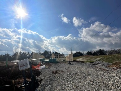 4032 Picket Line Dr, Jefferson City, TN 37760 - photo 2