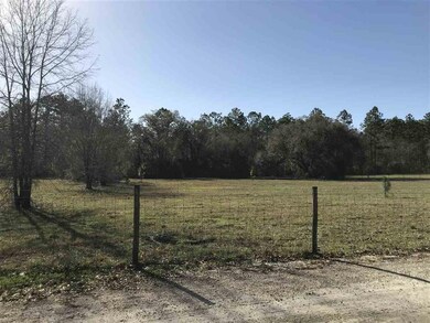 xx Kirton-Frazey Rd unit 4, Crawfordville, FL 32327 - photo 4