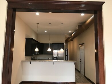 30 N Broadway unit 201, Aurora, IL 60505 - photo 2