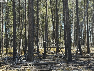 0 Cloudcap Dr unit 6, Chiloquin, OR 97624 - photo 7