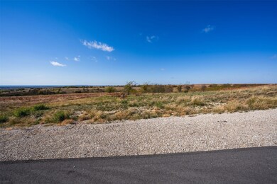 2516 Tom Chaney Dr, Cresson, TX 76035 - photo 4