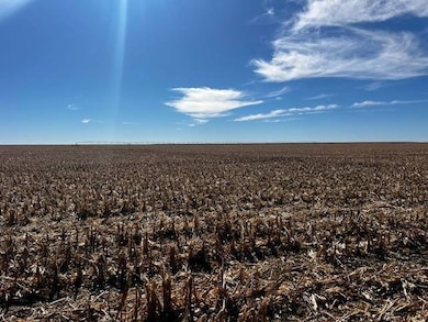 000 Road 12, Wano Township, KS 67756 - photo 3