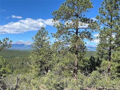 14200 County Rd 28 8, Weston, CO 81091 - photo 6