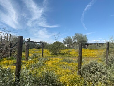 5686 E Red Bird Rd, Scottsdale, AZ 85266 - photo 6
