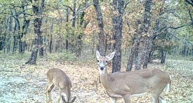 TBD Indian Camp Rd, Weatherford, TX 76087 - photo 7