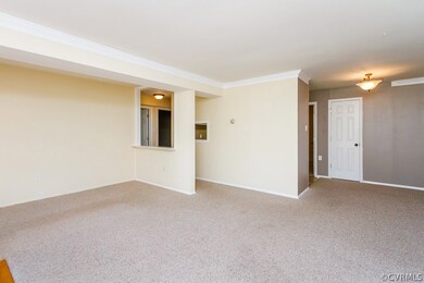 LARGE LIVING ROOM, CROWN MOLDING, PASS THROUGHS, C