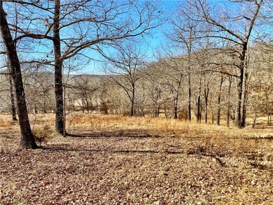 0 Off School House Rd unit 1210604, Siloam Springs, AR 72761 - photo 2