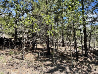 55 Deer Ct, Como, CO 80432 - photo 7